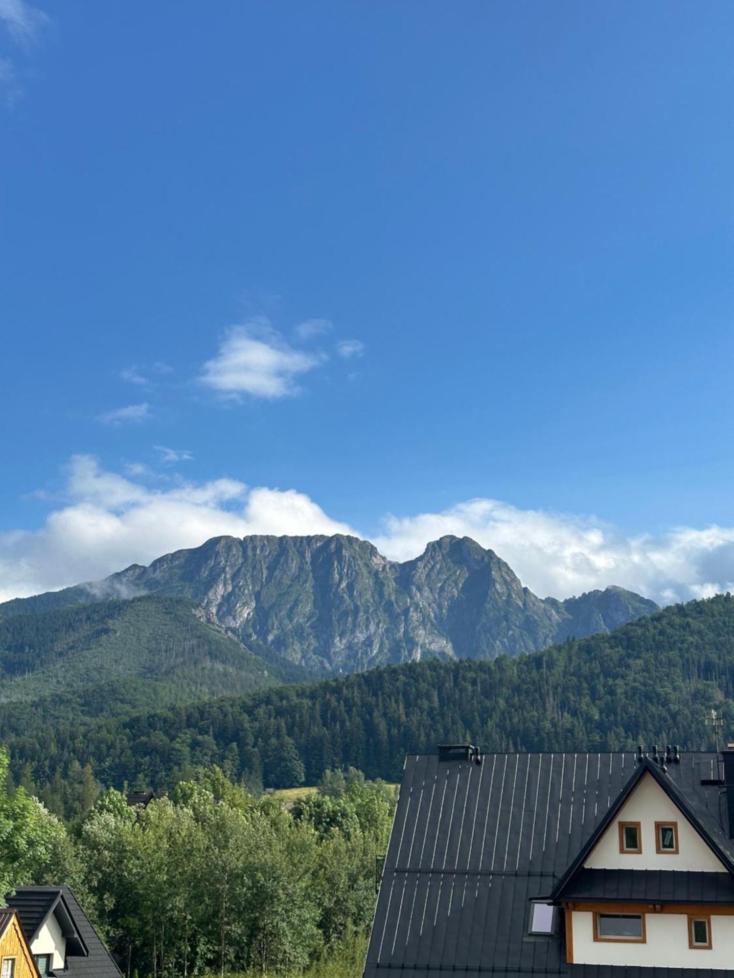 Willa Szafran Zakopane Esterno foto