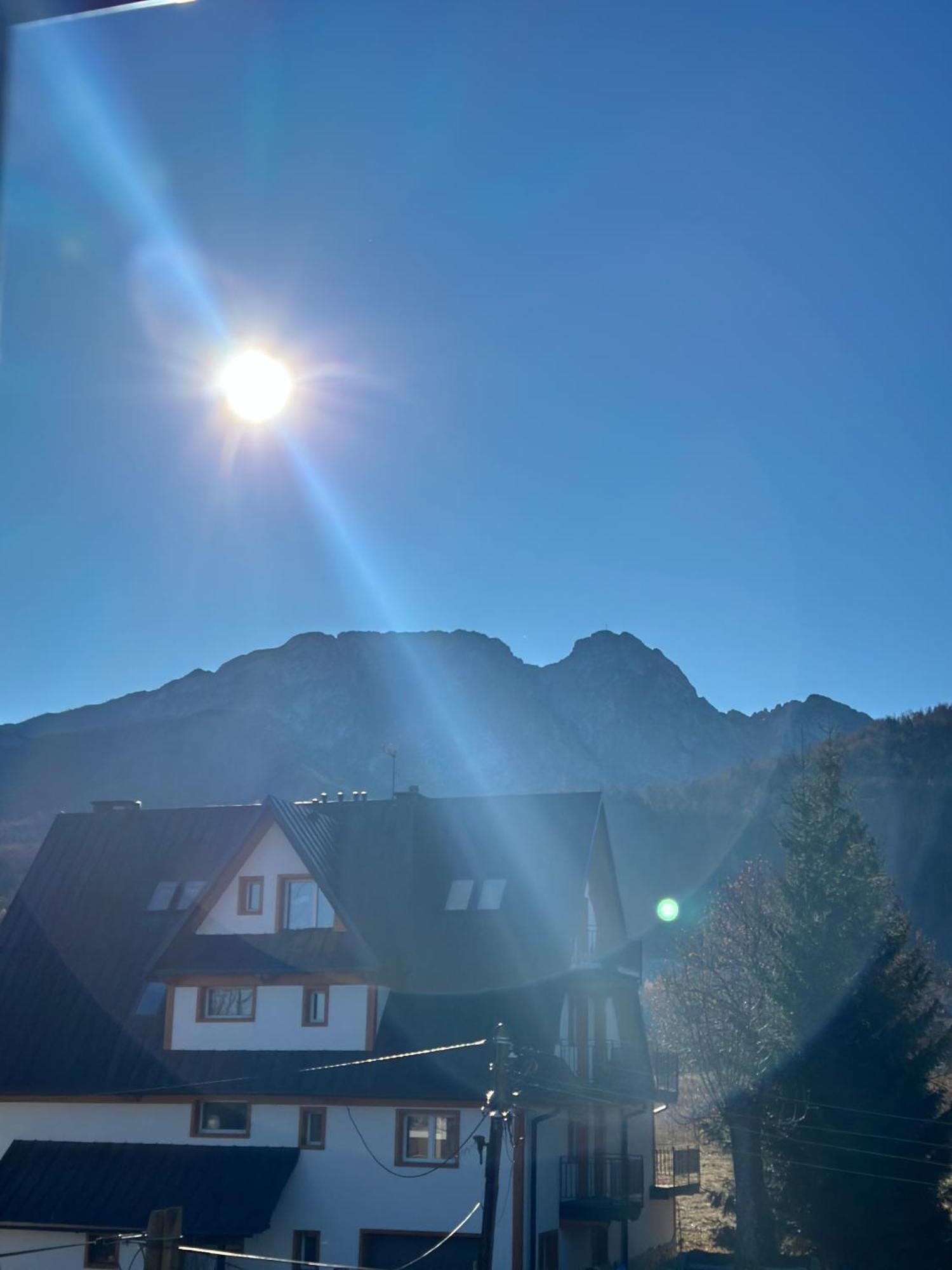 Willa Szafran Zakopane Esterno foto